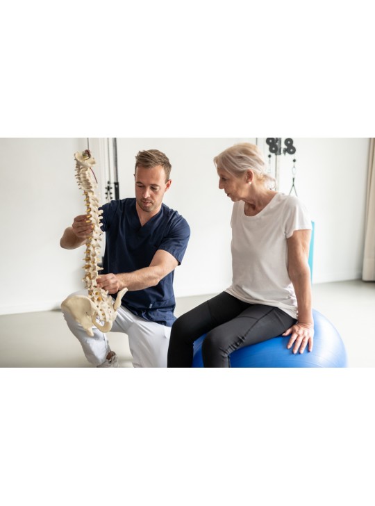 Seminario: Tratto lombare e bacino, Milano